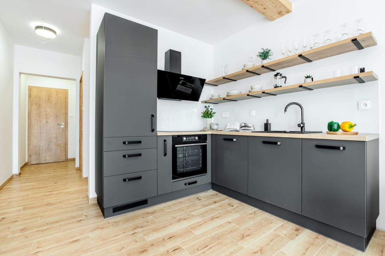 Apartmany Karlovy Dvory Horní Planá Eksteriør bilde